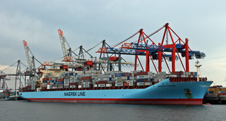 schiff