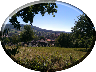 rothenberg 1